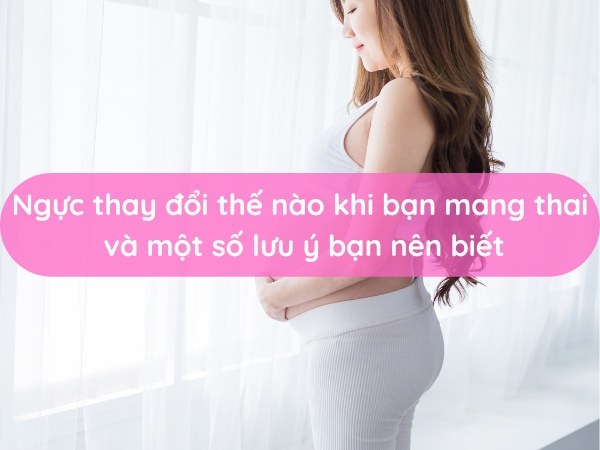 Ngực thay đổi thế nào khi bạn mang thai và một số lưu ý bạn nên biết