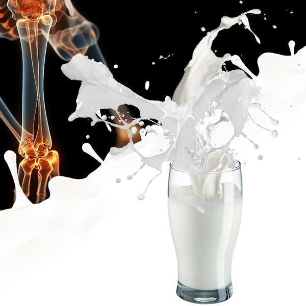 Sữa Cho Người Bị Xương Khớp