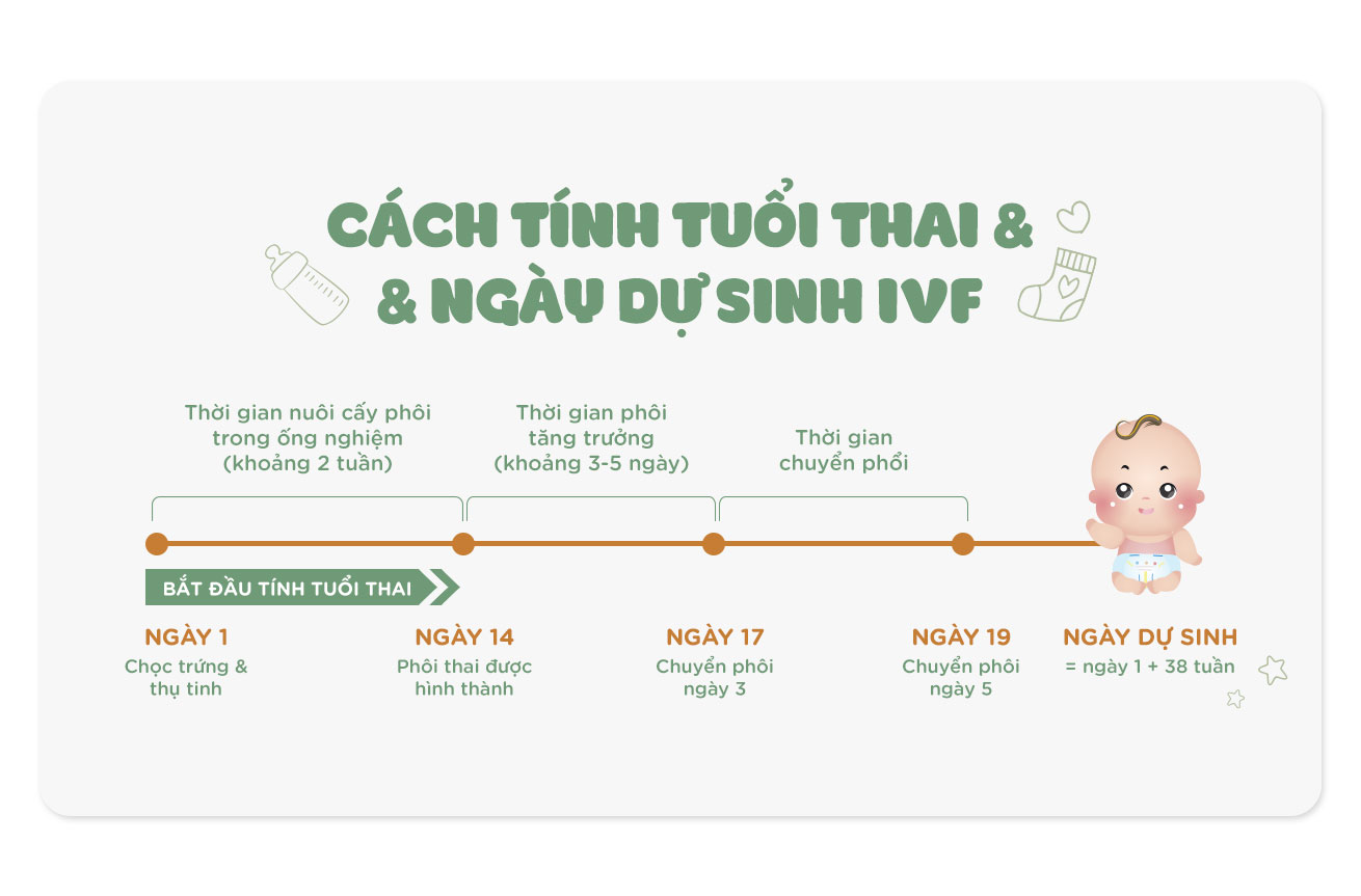 8. Những Sai Lầm Thường Gặp Khi Tính Ngày Dự Sinh