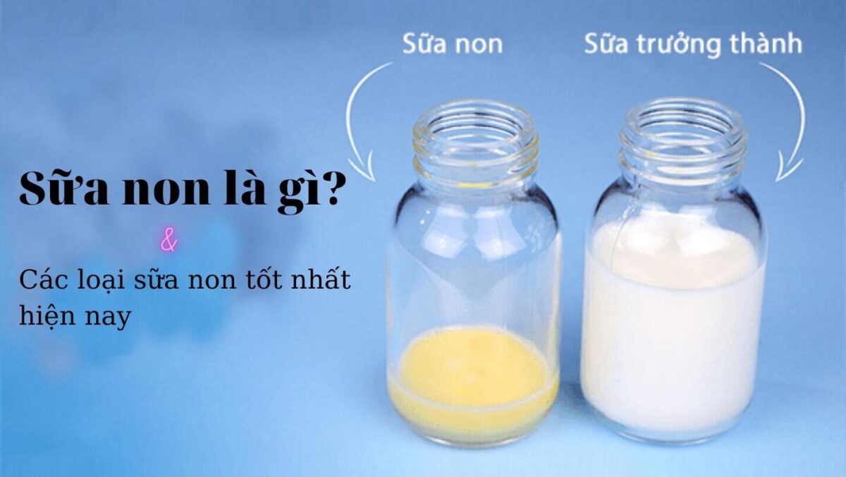 các loại sữa non hiện nay