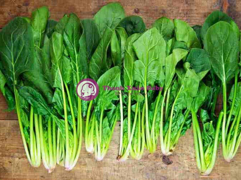 rau chân vịt không tốt cho người suy thận