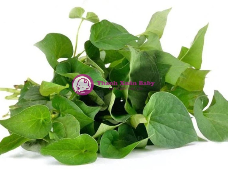 rau diếp cá
