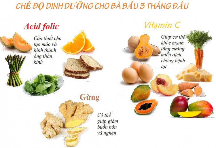 Chế độ dinh dưỡng cho bà bầu 3 tháng đầu