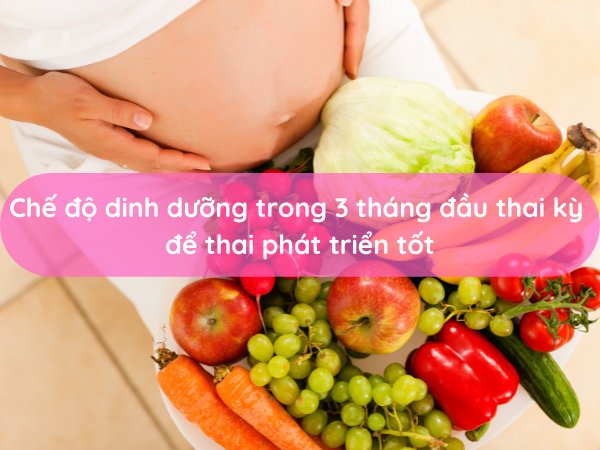 che-do-dinh-duong-trong-3-thang-dau-thai-ky-de-thai-phat-trien-tot