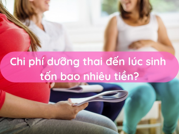 chi-phi-duong-thai-den-luc-sinh-ton-bao-nhieu-tien