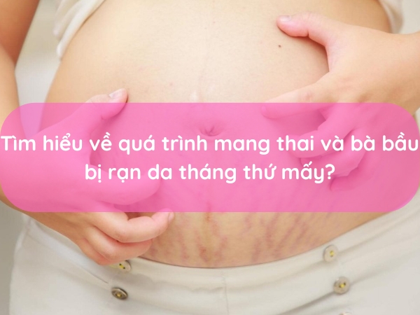 tim-hieu-ve-qua-trinh-mang-thai-va-ba-bau-bi-ran-da-thang-thu-may