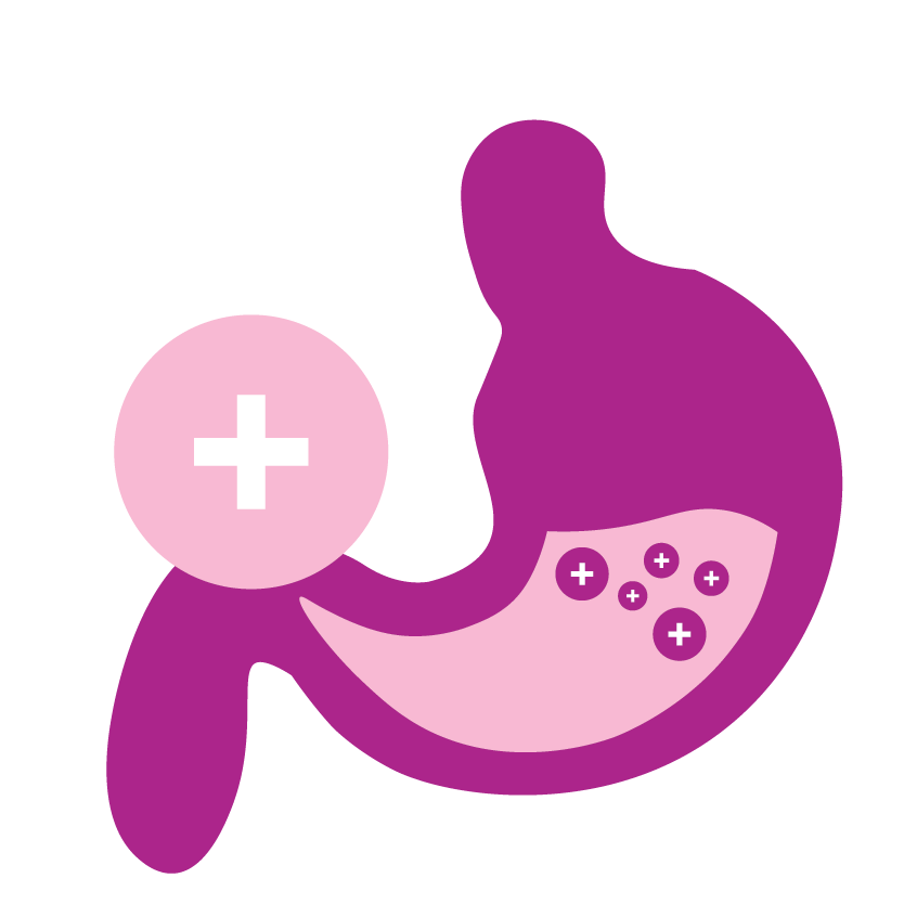 Hỗ trợ tiêu hóa