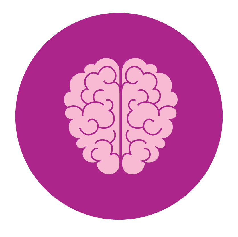 Hỗ trợ trí não