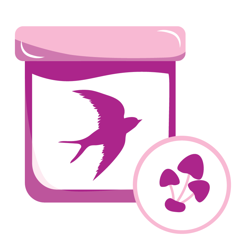 Yến sào Đông trùng hạ thảo