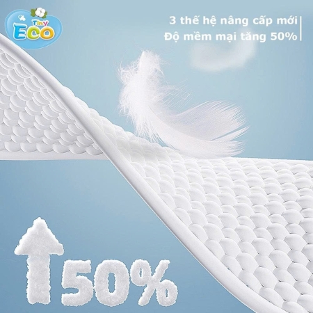 ta-bim-tiny-eco-xl-50-quan