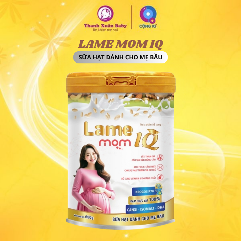 Sữa hạt dành cho mẹ bầu Lame Mom IQ 650g